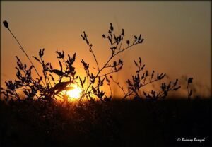 July 21 Marks Earth’s Warmest Day Ever Recorded